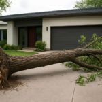 A fallen tree on a driveway in front of a modern house, showing damage from a storm.